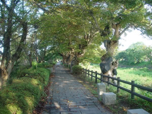 ���₫��̌i�F